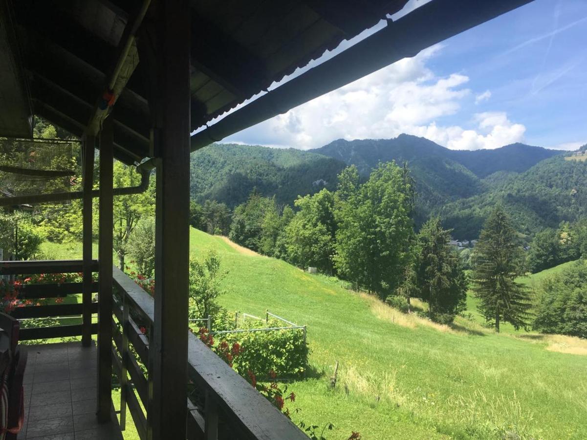 B&B Cerne Polhov Gradec Экстерьер фото
