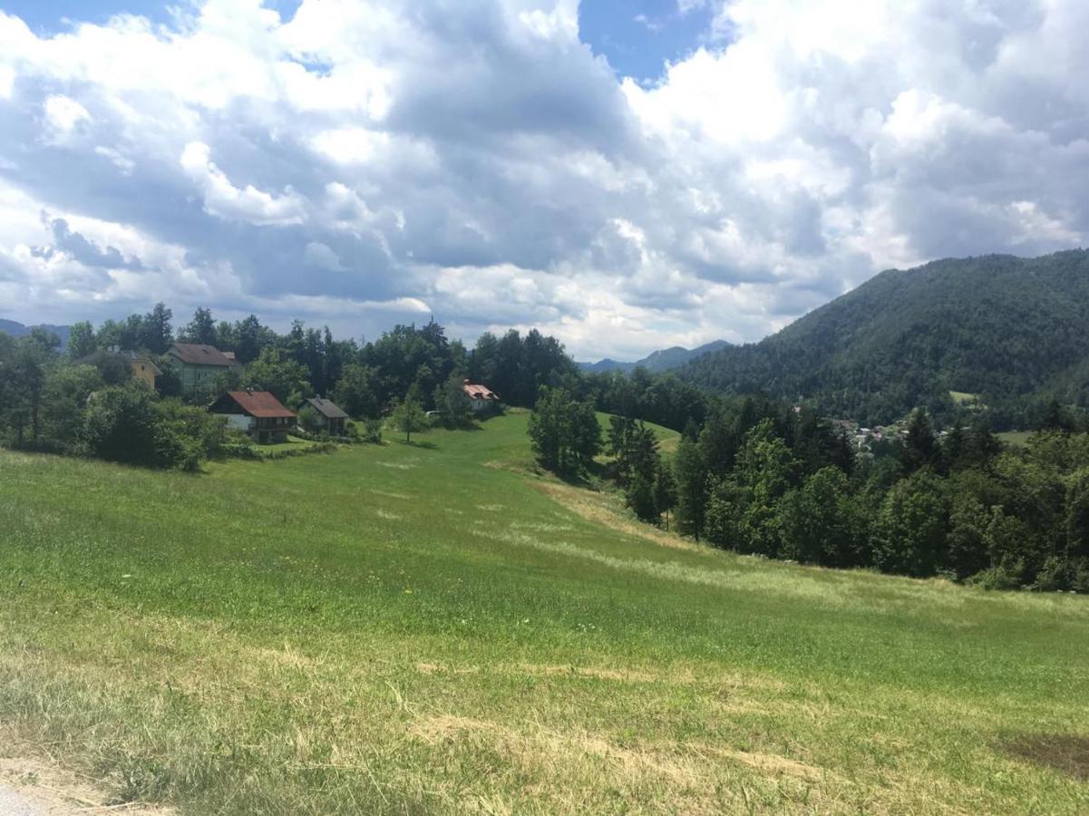 B&B Cerne Polhov Gradec Экстерьер фото