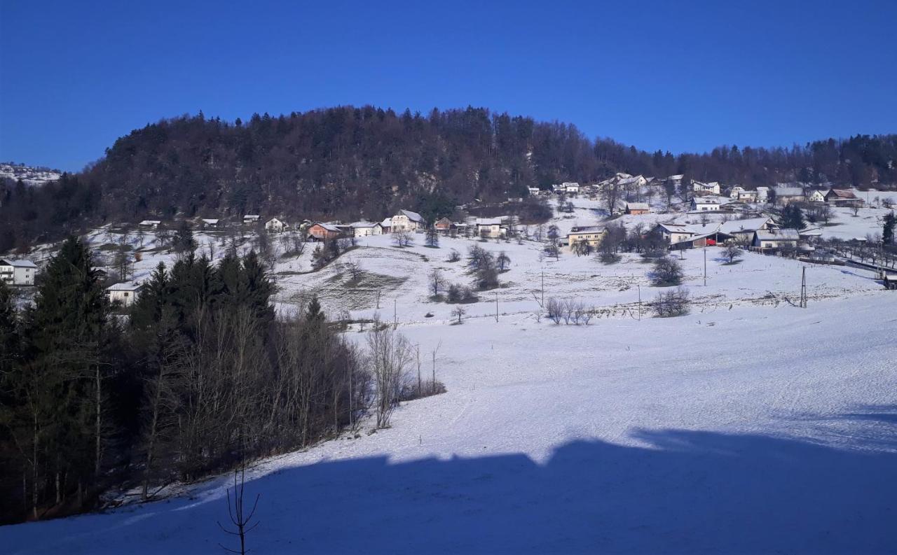B&B Cerne Polhov Gradec Экстерьер фото