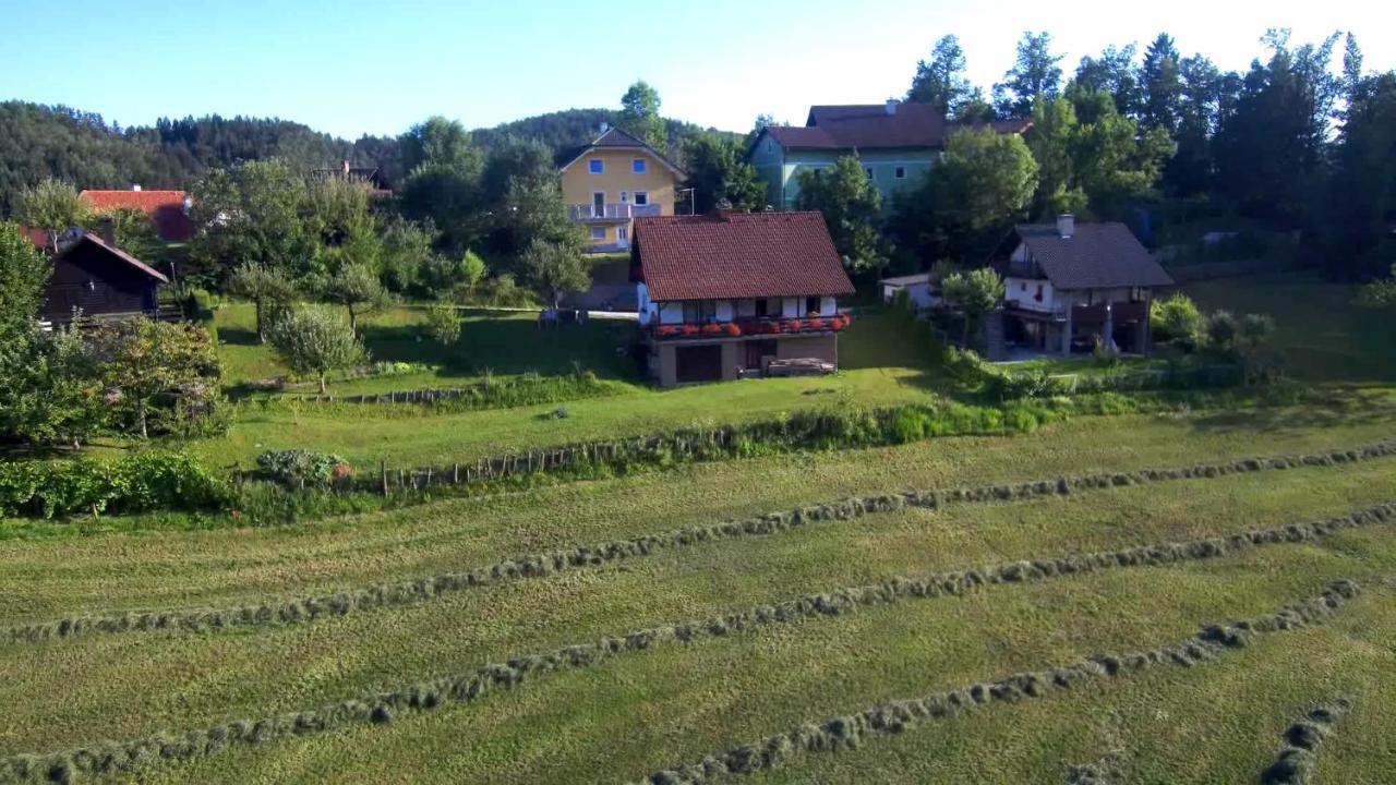 B&B Cerne Polhov Gradec Экстерьер фото