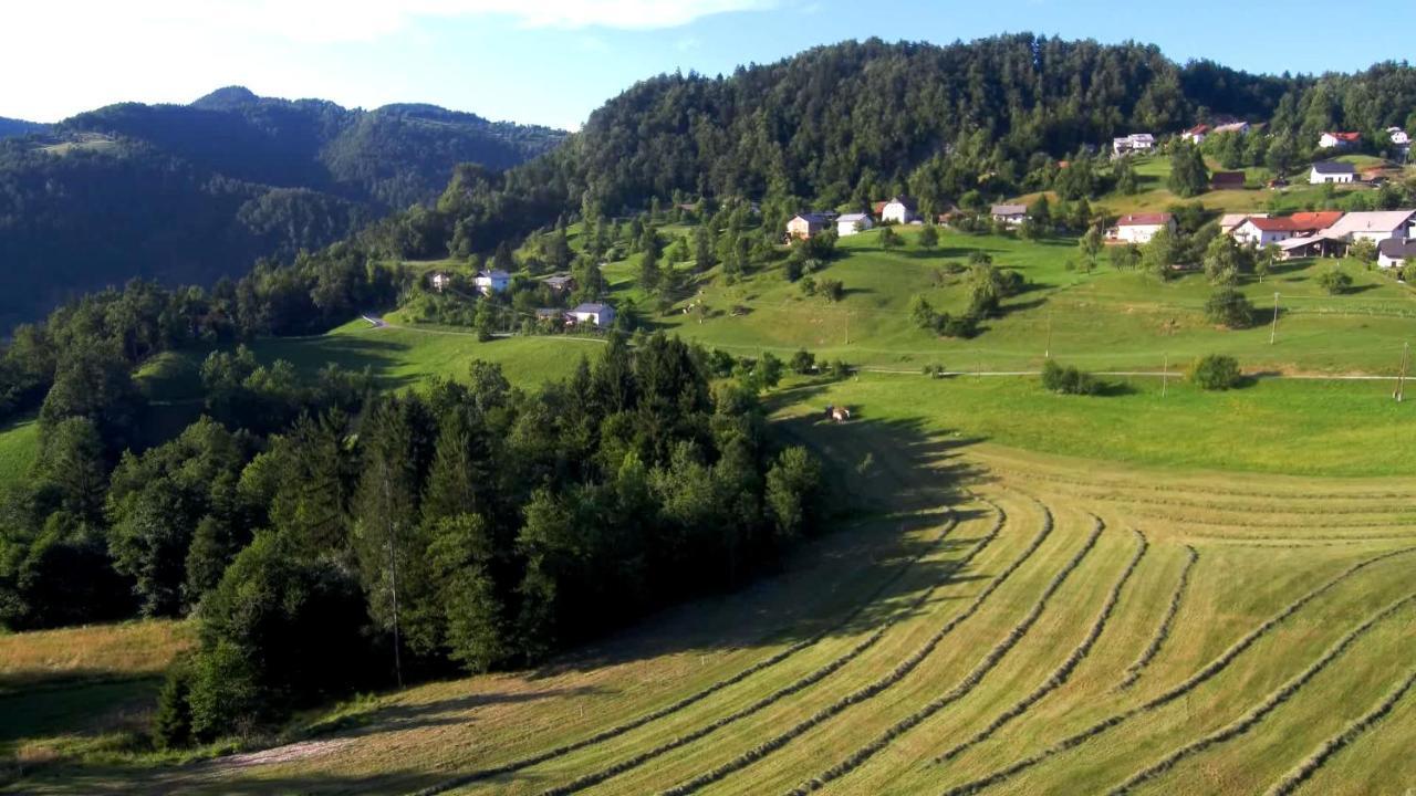 B&B Cerne Polhov Gradec Экстерьер фото